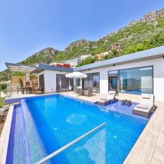 Villa Vizo