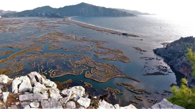 Dalyan