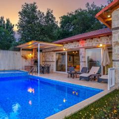 Villa Vizo