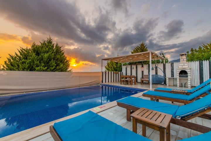 Villa zeytin üzümlü