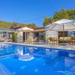 Villa Lions Den 12