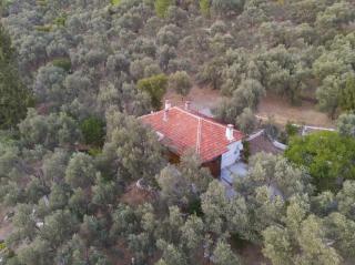 Villa Rustik